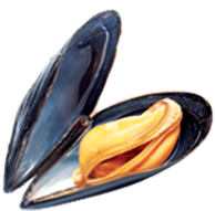 moule