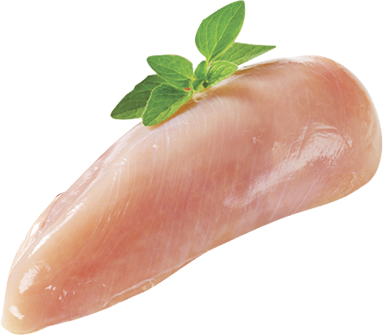poulet-fillet